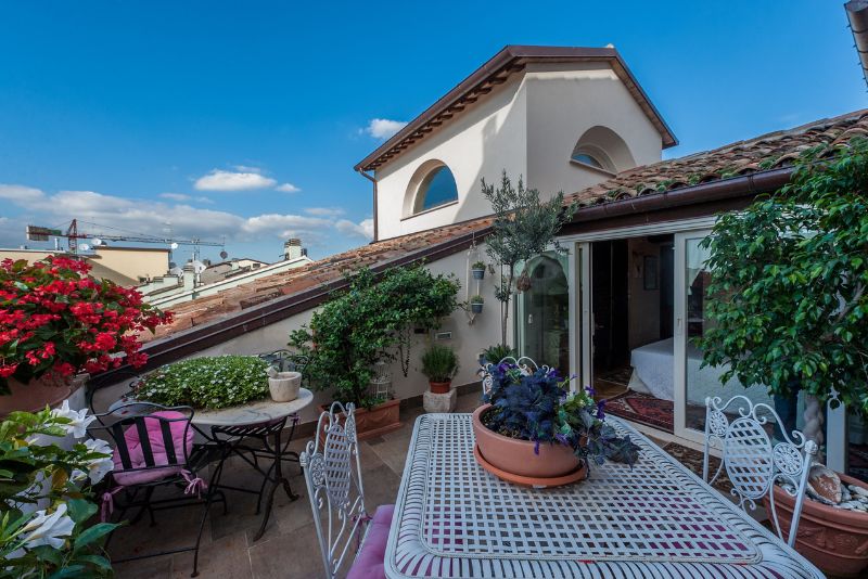 rooftop patio decorated with lots of potted plants